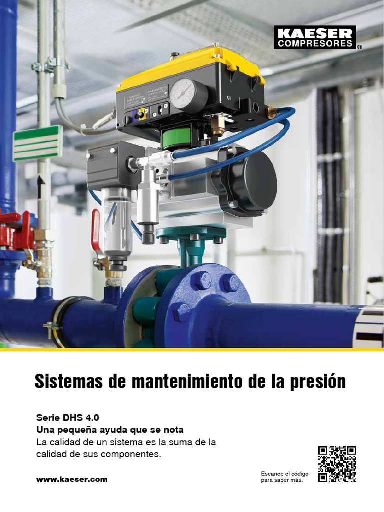 Manual Kaeser BSD 50 y DHS 4.0 | PDF | Ingeniería de confiabilidad | Mecánica de Medios Continuos