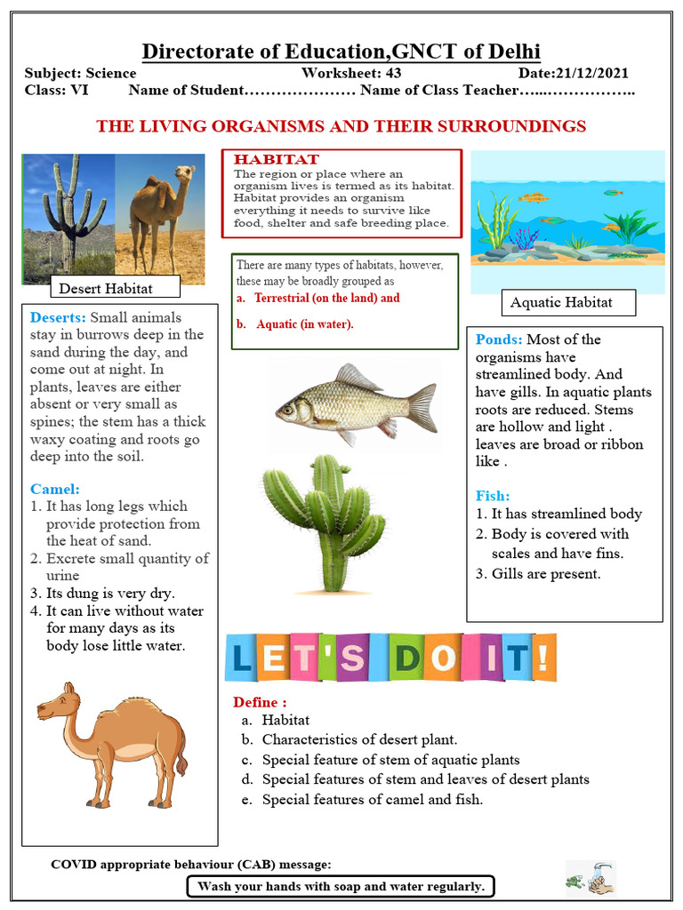 Worksheet 43 Dated 21122021 | PDF | Habitat | Desert