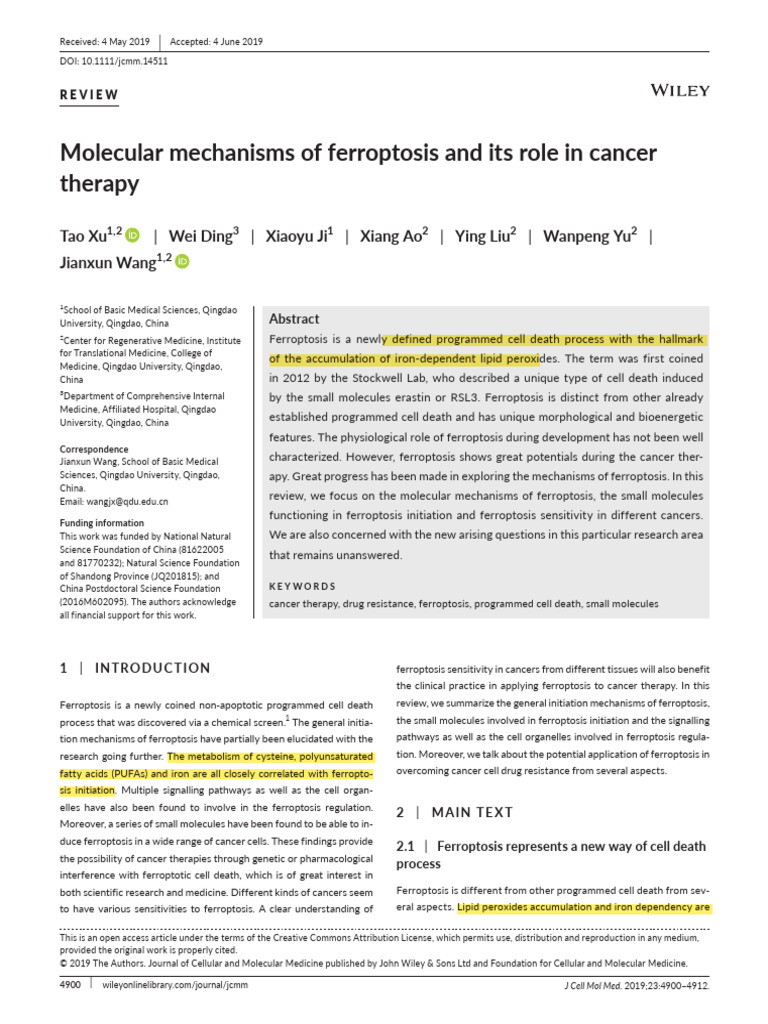 +molecular Mechanisms of Ferroptosis and Its Role in Cancer Therapy ...