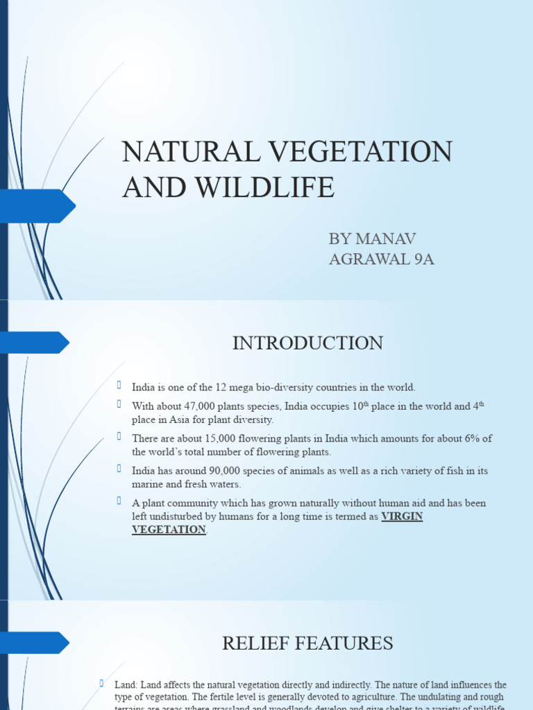 Natural Vegetation And Wildlife Pdf Forests Trees