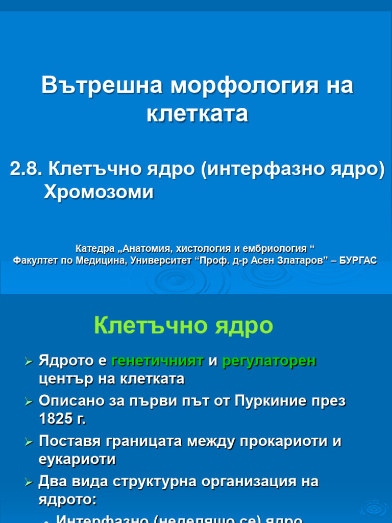 2.8. Интерфазно ядро, хромозоми, кариотип | PDF