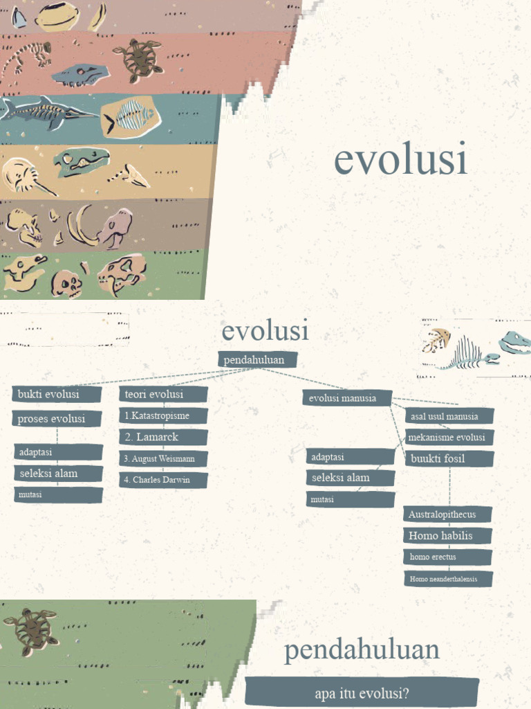 Teori dan Bukti Evolusi Manusia | PDF