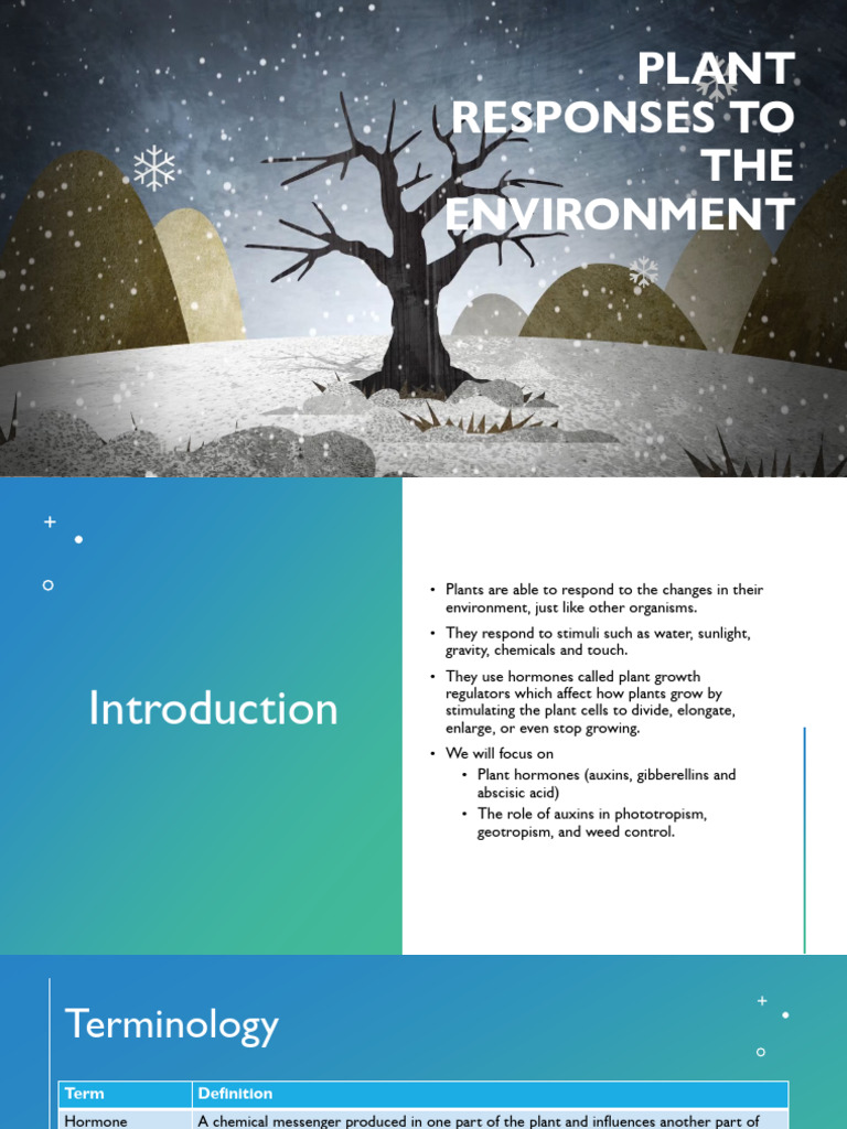 Plant Responses To The Environment | PDF | Auxin | Plant Hormone