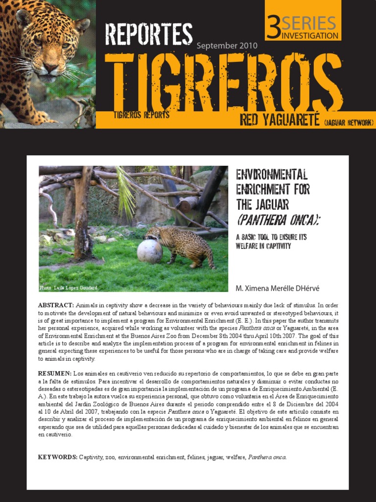 Are tigers endangered image