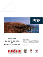 Informe Campo Dunar de Punta Concon