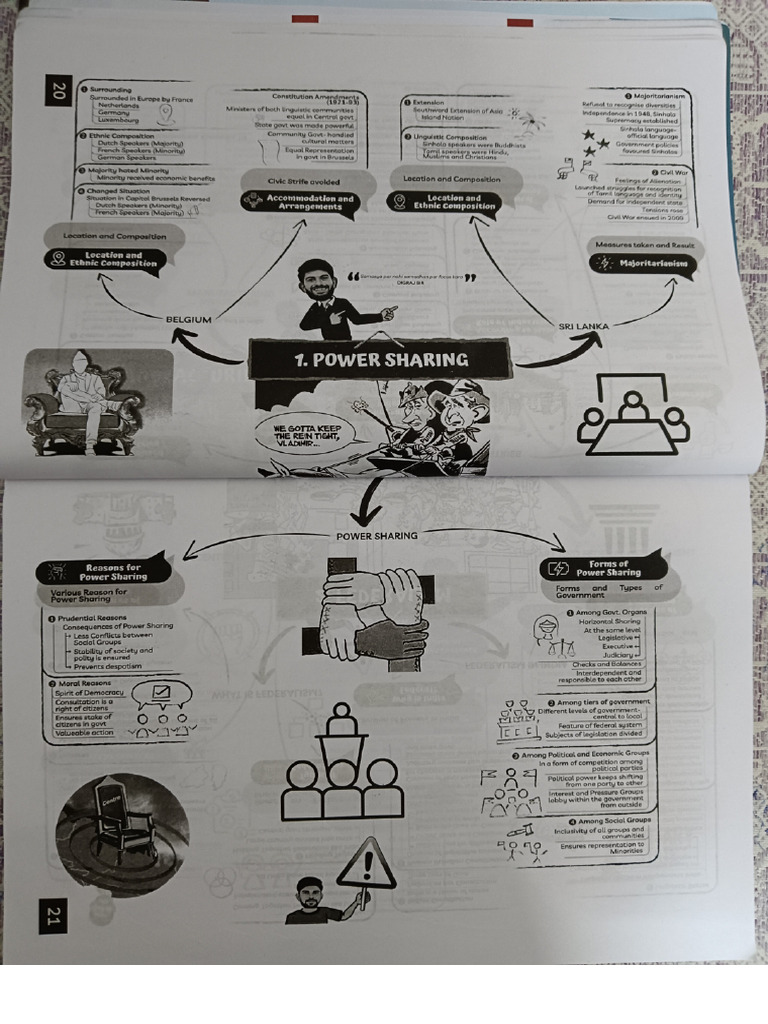 Politics Class 10 | PDF