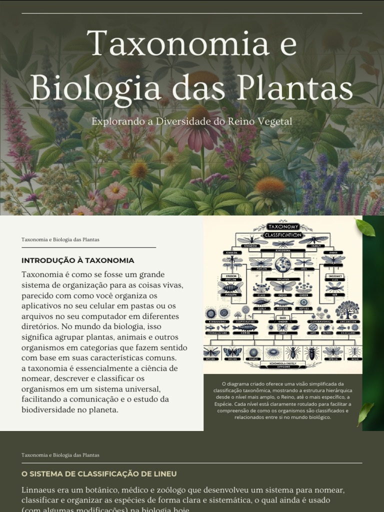 Taxonomia e Biologia Das Plantas. | PDF | Taxonomia (Biologia) | Plantas