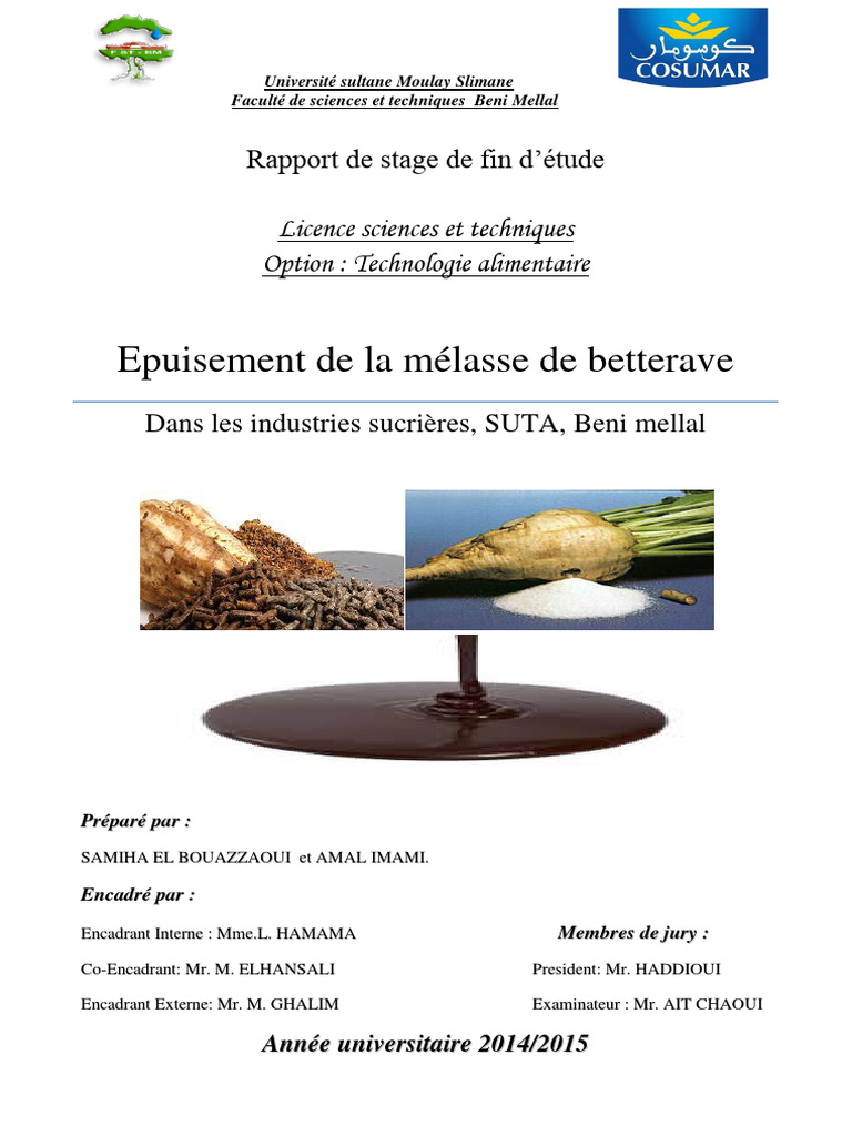 Transformation de la betterave en sucre | PDF | Régime et nutrition | Sucre