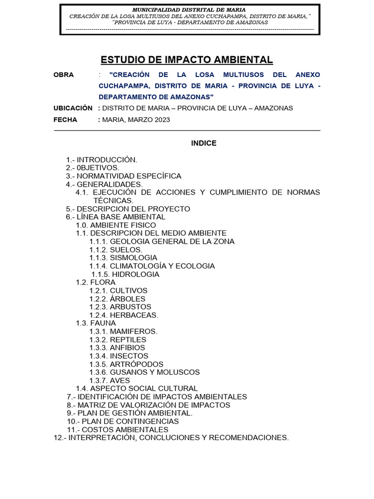 Estudio de Impacto Ambiental | PDF | Entorno natural | Evaluación de ...