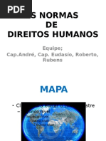 As Normas de Direitos Humanos