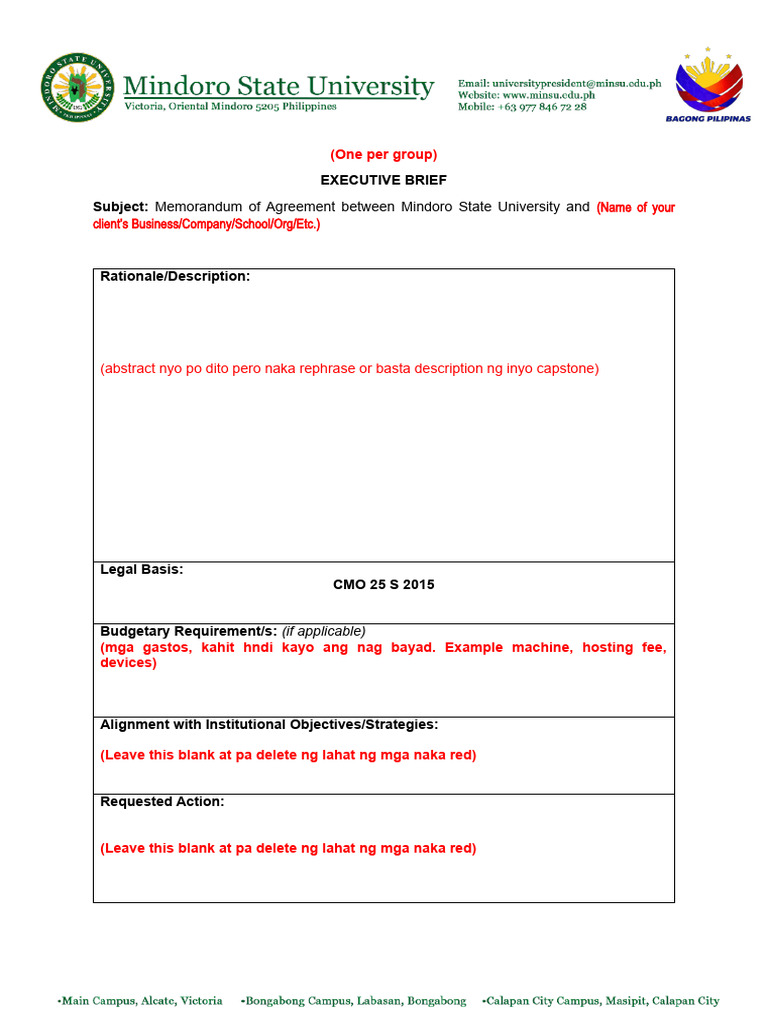 Executive Brief Template PDF