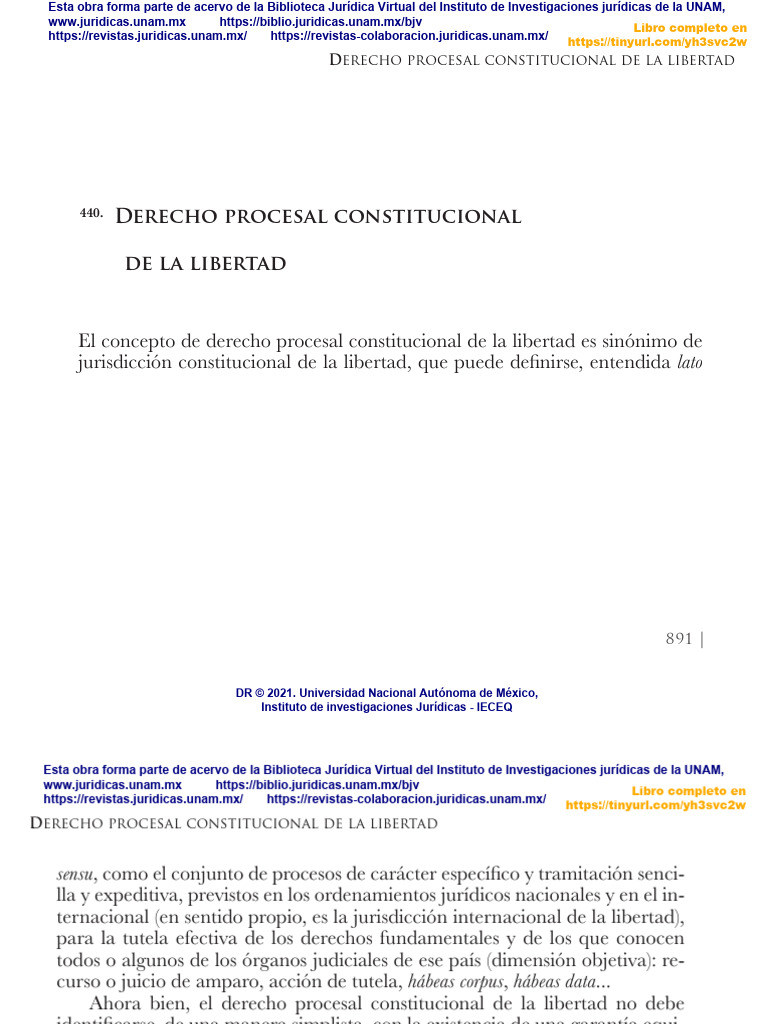Derecho Procesal Constitucional de La Libertad | PDF | Ley procesal ...