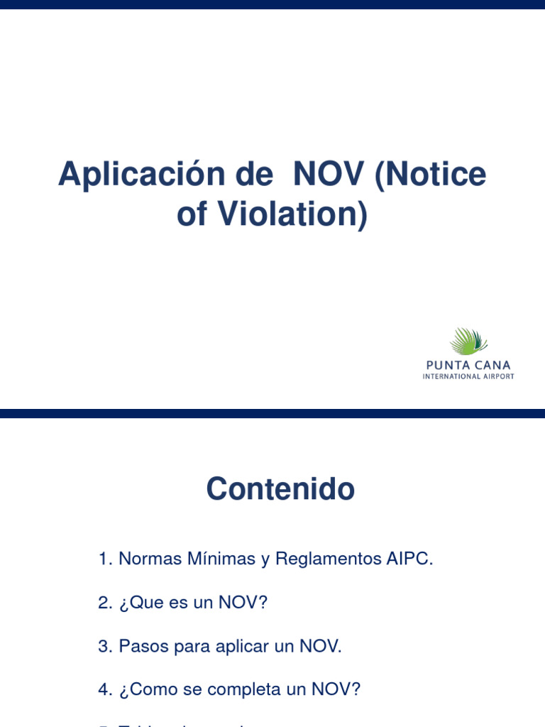 Guia Aplicacion NOV | PDF | Finanzas y dinero