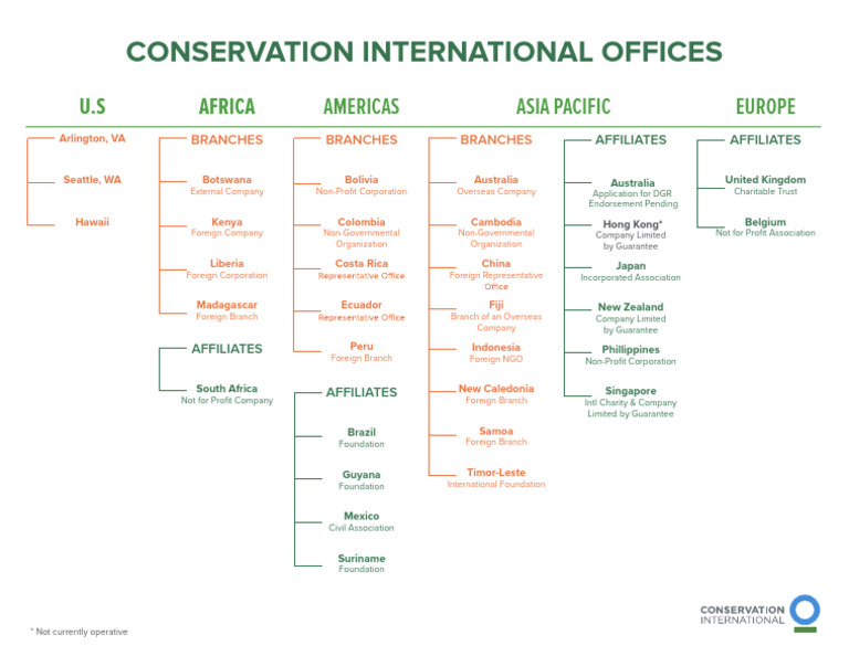 CI Offices OrganizationalChart Nov2020 | PDF | Activism | Business