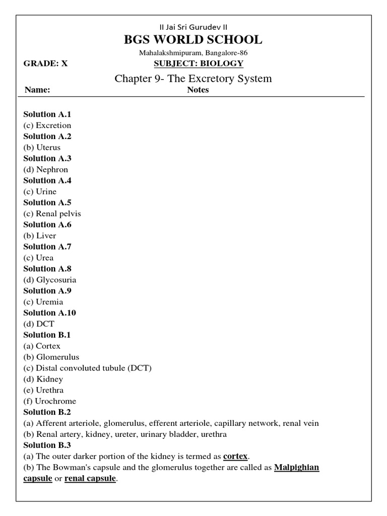 Bny Ahw 2406271907 0093120714 1 | PDF | Kidney | Urinary System