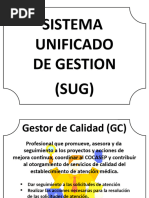 Lineamientos para el SUG en Salud | PDF | Seguridad del paciente | Hospital