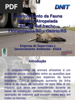 Monitoramento da Fauna Silvestre Atropelada - BR-101 Sul