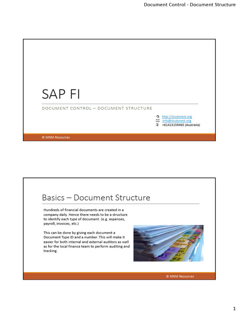 SAP Document Control Structure Guide | PDF | Audit | Accounting