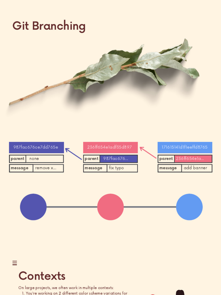 Git+&+Github_+Branching | PDF | System Software | Software Development