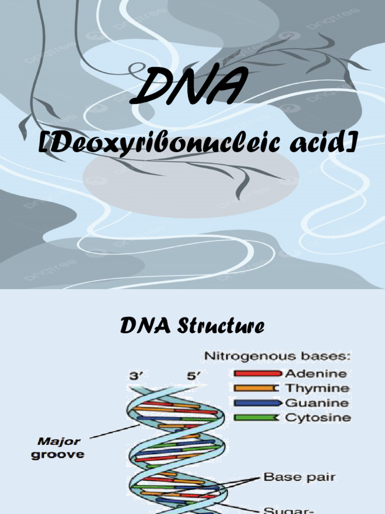 Dna Presentation by Yashasvi Sharma | PDF | Foreign Language Studies ...