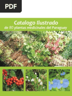 Download 80 Plantas Medicinales del Paraguay - PortalGuarani by Portal Guarani SN75825333 doc pdf
