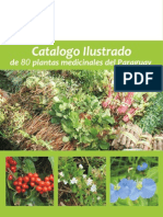 Download 80 Plantas Medicinales del Paraguay - PortalGuarani by Portal Guarani SN75825333 doc pdf
