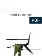 Partes de Una Flor