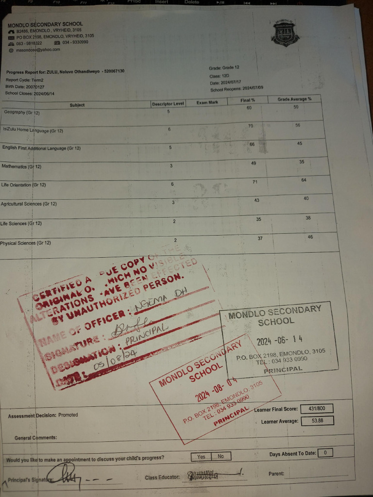 Grade 12 Progress Report for Noluvo Zulu | PDF