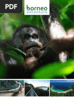 Download Borneo Adventure - Tours in Sabah Sarawak  Brunei by Borneo Adventure SN75828992 doc pdf