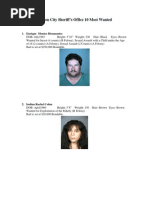 Download Carson City Sheriffs 10 Most Wanted by Carson Now SN75830971 doc pdf