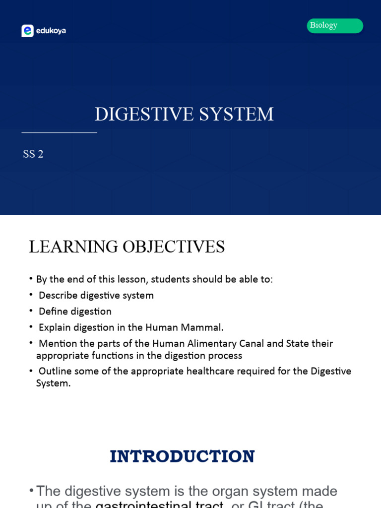 Digestive System | PDF | Human Digestive System | Digestion