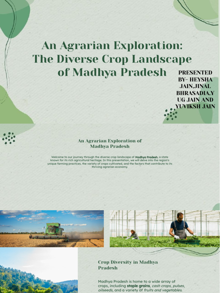 Madhya Pradesh Crop Diversity & Farming | PDF | Agriculture ...