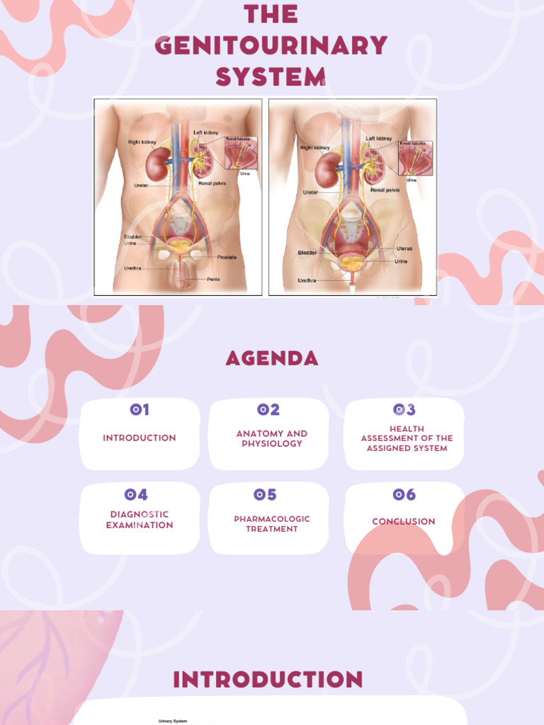 Anatomy visual data 5