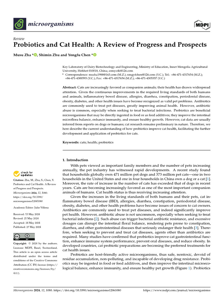 Thumbnail for Probiotics And Feline Urine Tract Health