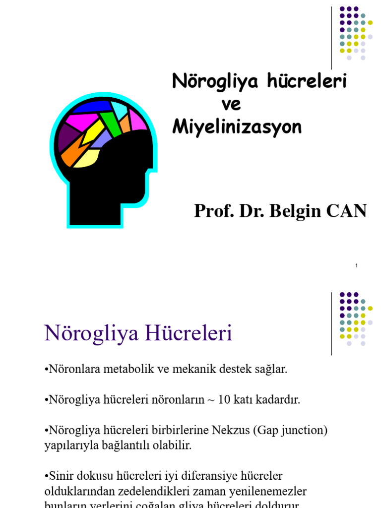 Arşiv dr.bc NÖROGLİYA HÜCRELERİ Ve MİYELİNİZASYON dr bc | PDF