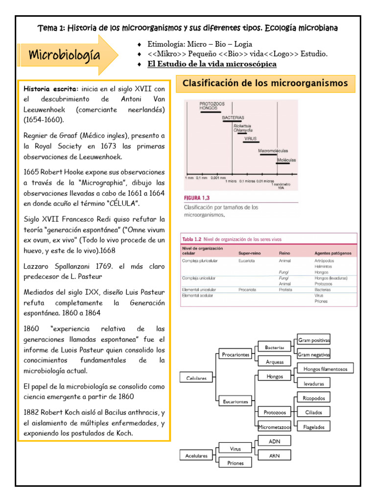 Historia y Clasificación de Microorganismos | PDF | Las bacterias | Adn