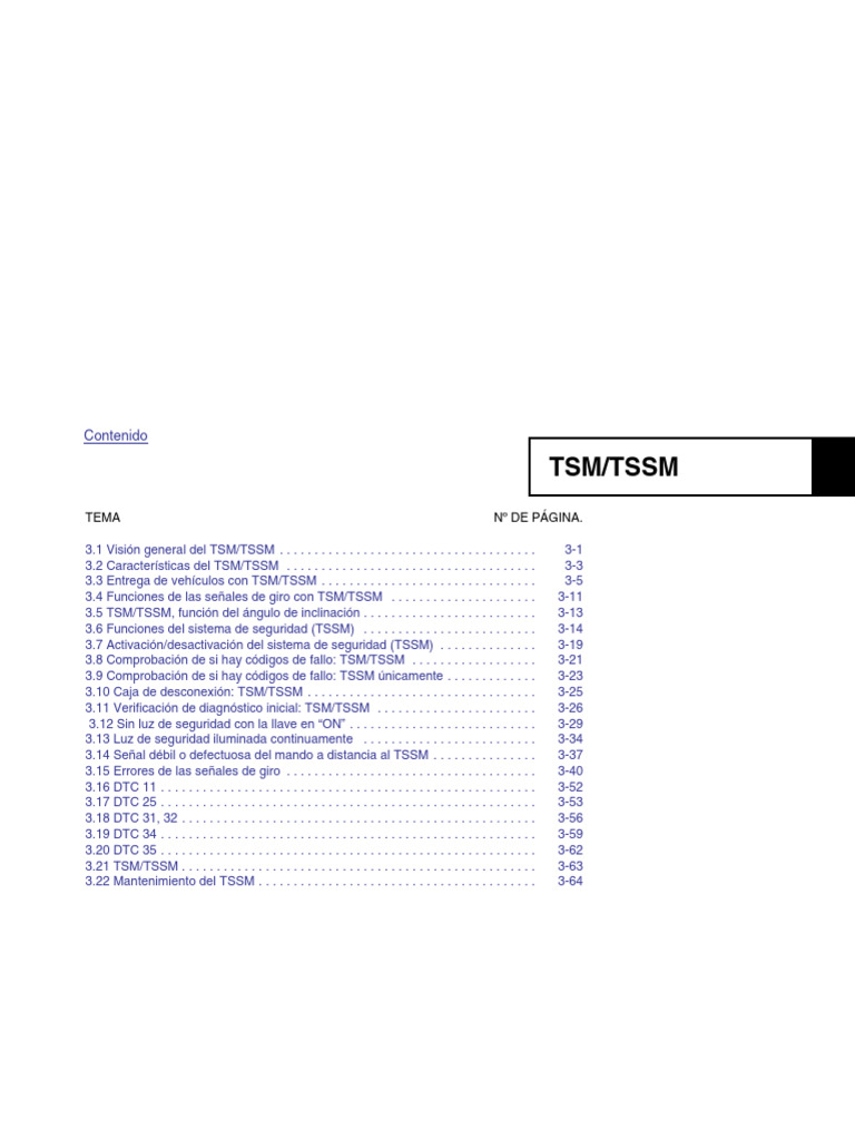 Guía Completa sobre TSM/TSSM | PDF