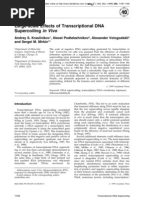 Andrey S. Krasilnikov, Alexei Podtelezhnikov, Alexander Vologodskii and Sergei M. Mirkin- Large-scale Effects of Transcriptional DNA Supercoiling in Vivo