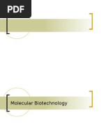Download Molecular Biotechnology by Vipin SN7584303 doc pdf