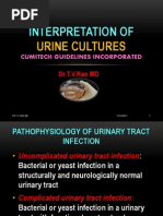 Interpretation of Urine Cultures