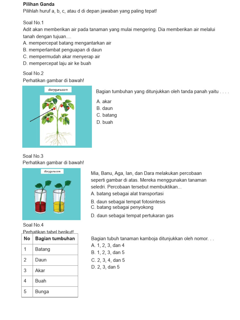 Soal agian tubuh tumbuhanb kelas 4