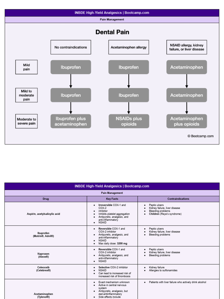 INBDE High-Yield Analgesics | PDF | Nonsteroidal Anti Inflammatory Drug ...