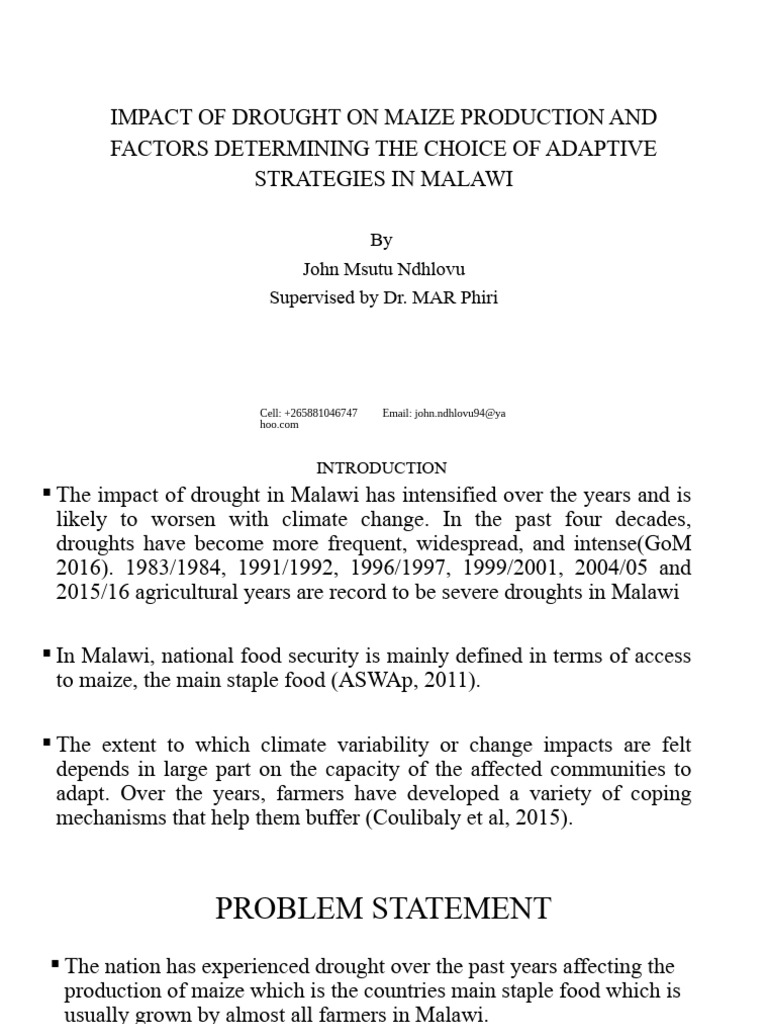 Impact of Drought On Maize Production and Factors PJ | PDF | Food ...