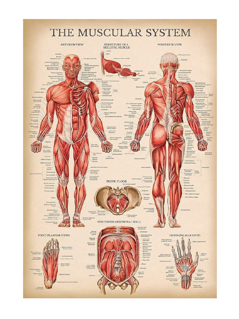 Poster | PDF