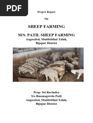 Sheep_Farming