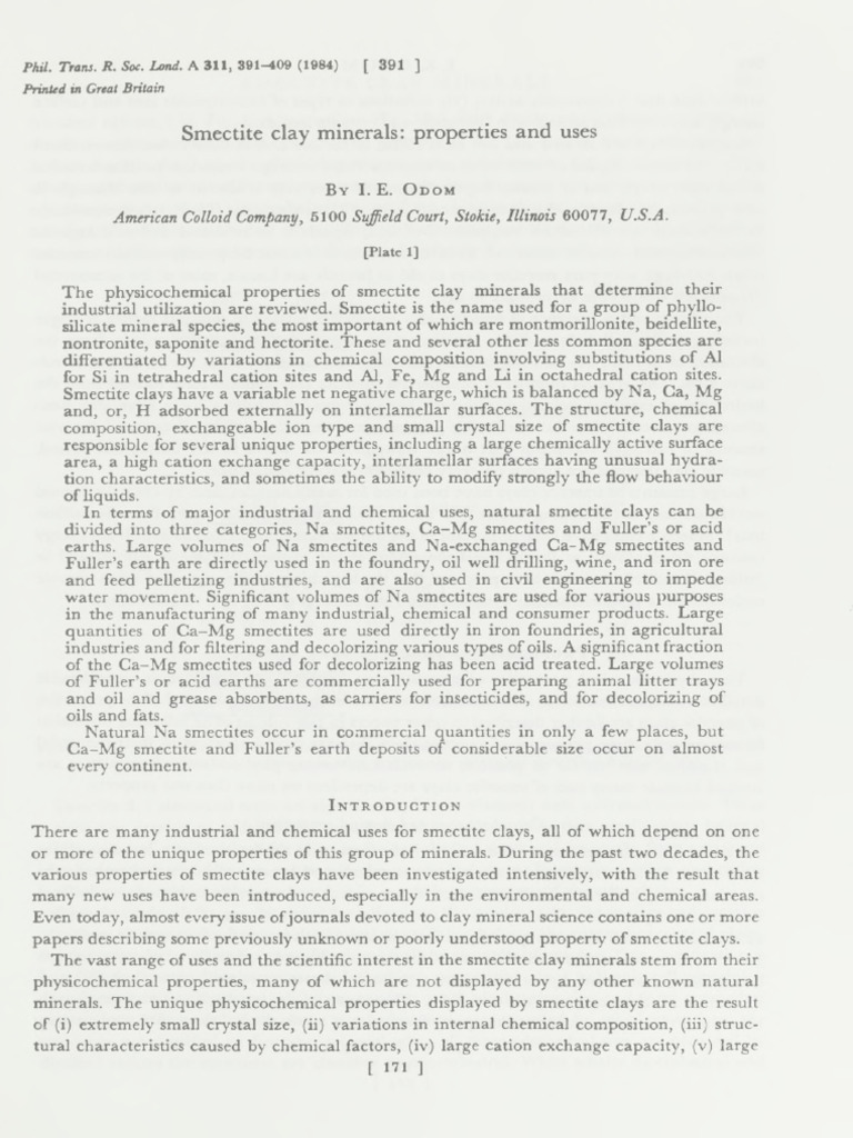 Smectite Clay Minerals: Properties & Uses | PDF | Clay | Ion