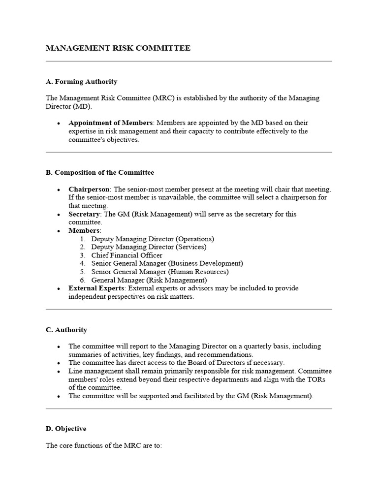 Management Risk Committee Charter | PDF | Risk Management | Risk