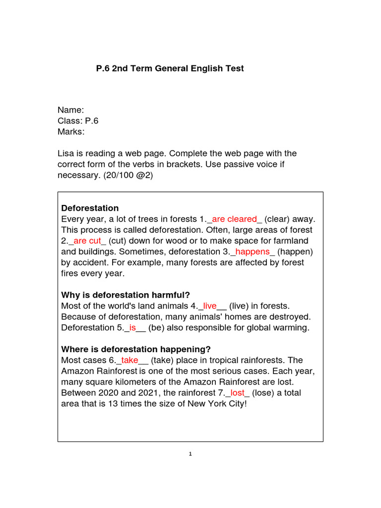 P 6 2nd term general english test answer pdf deforestation rainforest