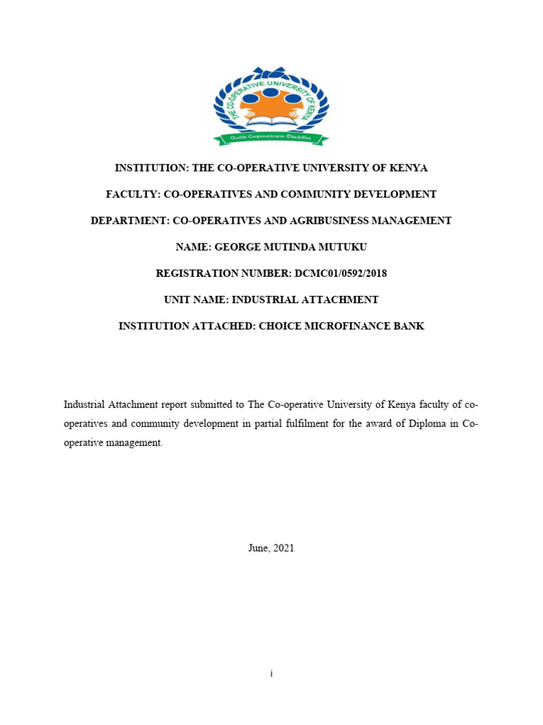 George Attachment Report | PDF | Banks | Balance Sheet
