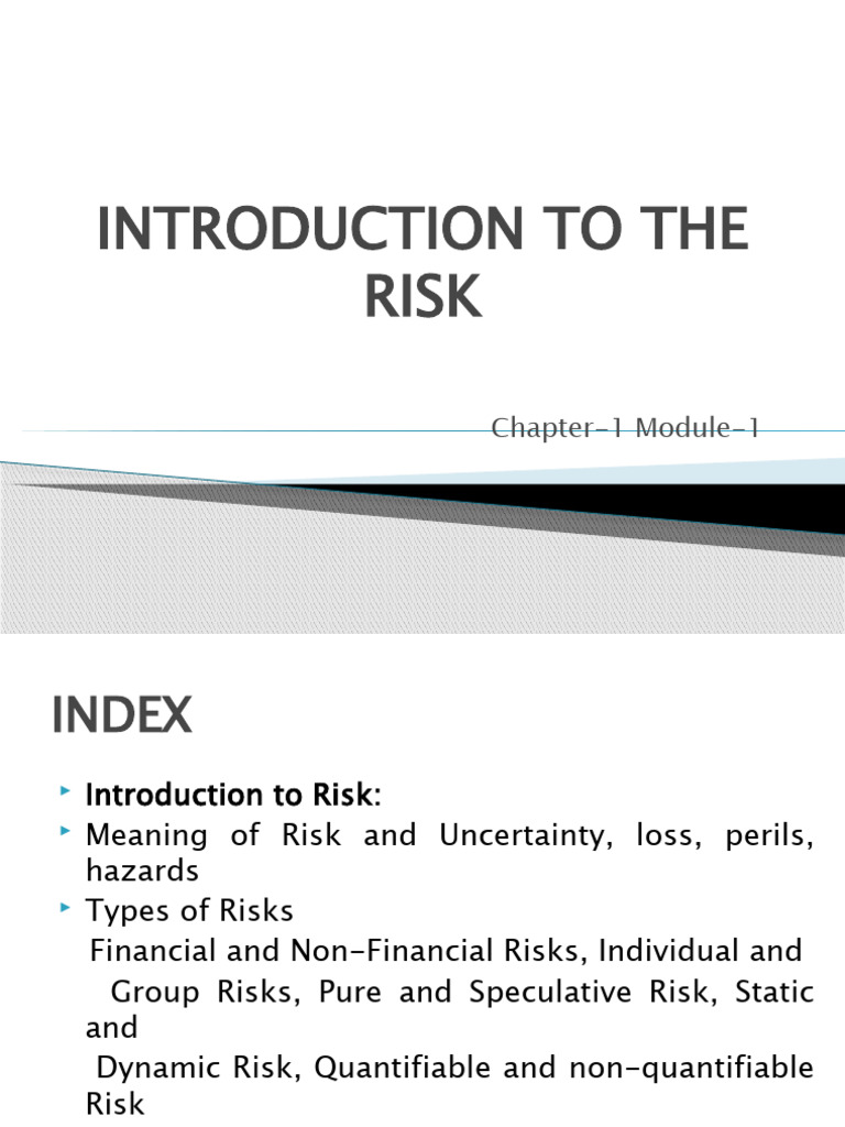 Understanding Risk: Types and Impacts | PDF | Risk | Hazards